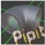 配管Pipit